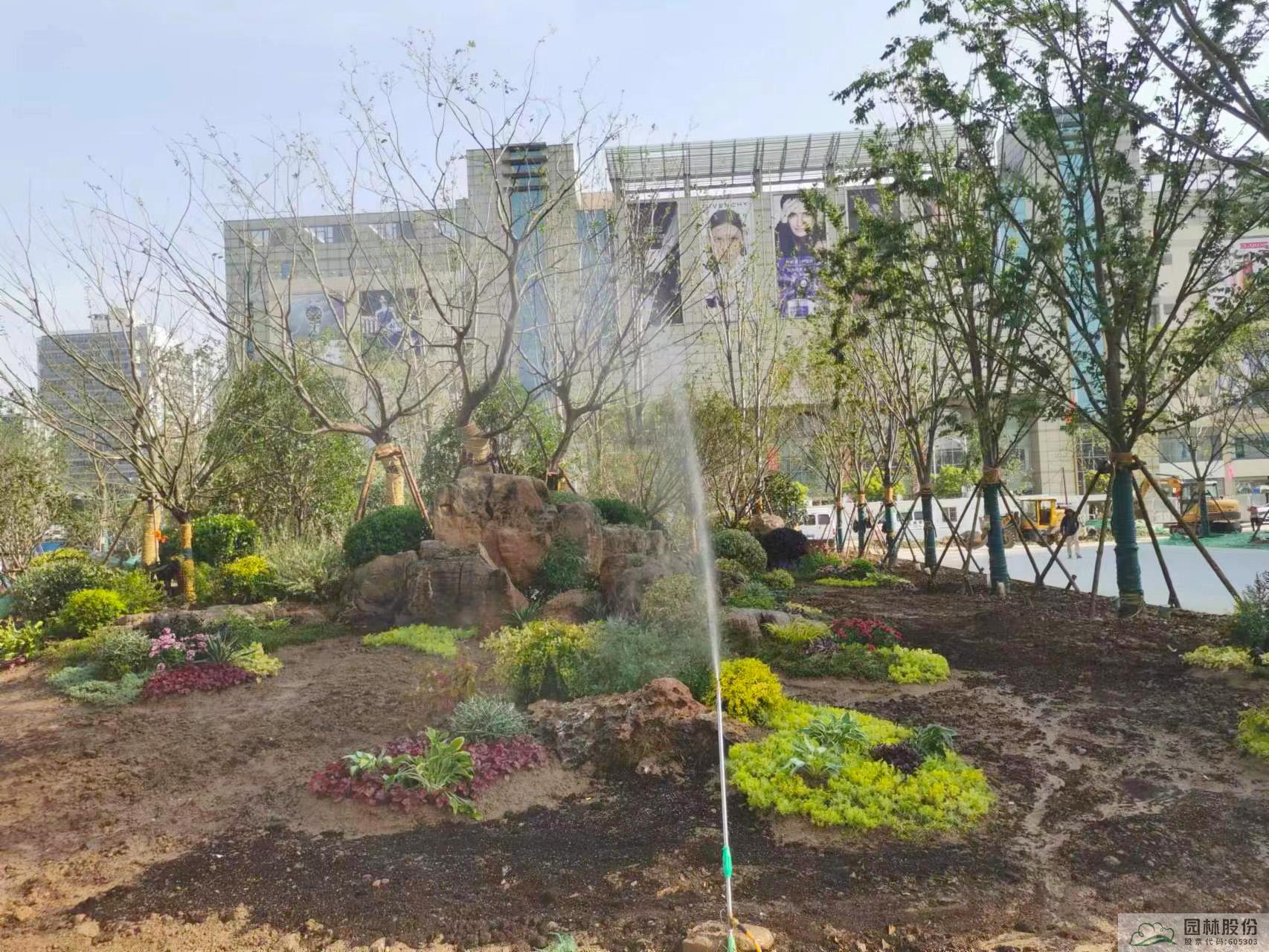 电竞比赛押注app