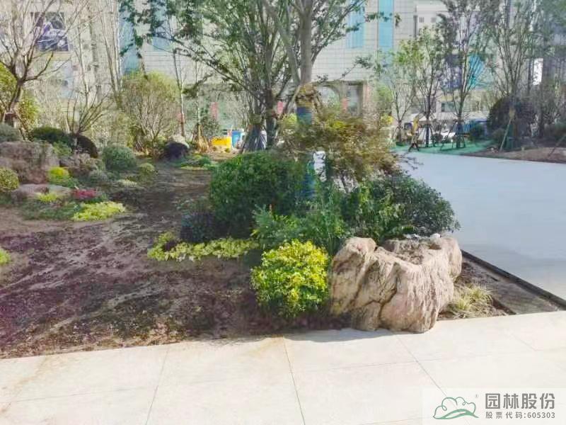 电竞比赛押注app