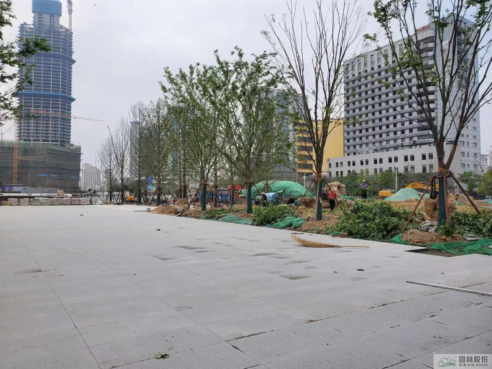 电竞比赛押注app