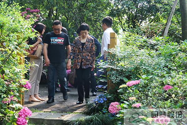 电竞比赛押注app