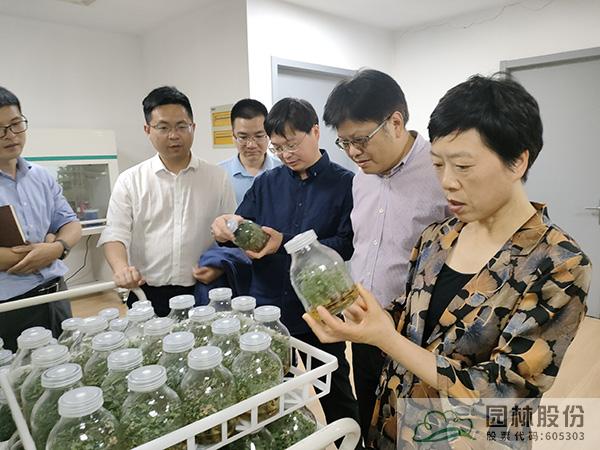 电竞比赛押注app