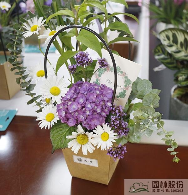 电竞比赛押注app