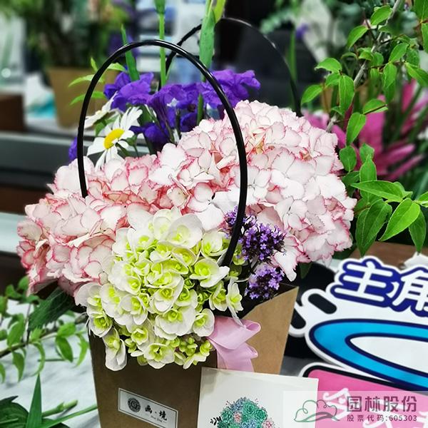 电竞比赛押注app