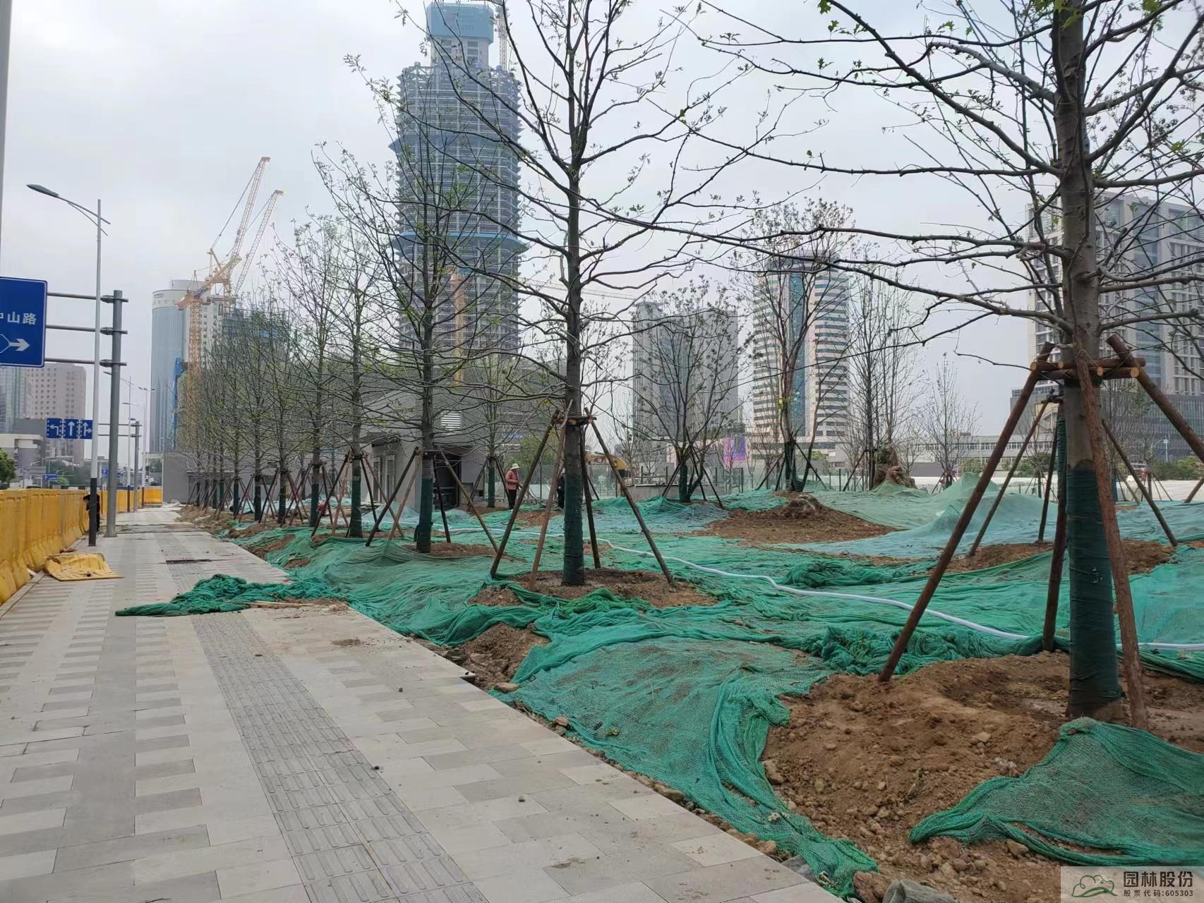 电竞比赛押注app