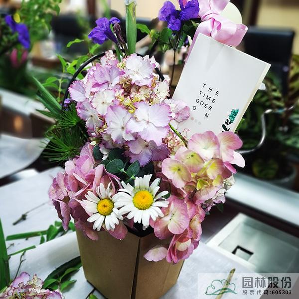 电竞比赛押注app