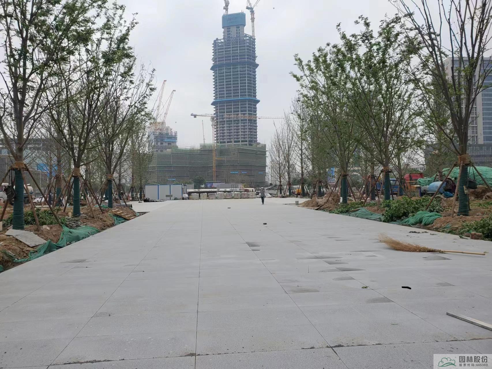 电竞比赛押注app