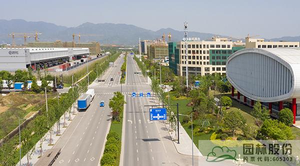 电竞比赛押注app