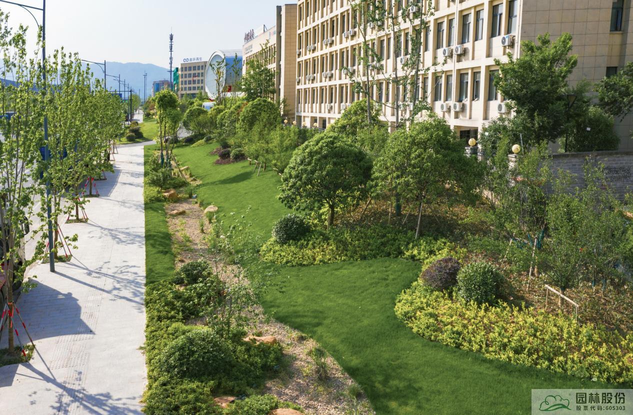 电竞比赛押注app