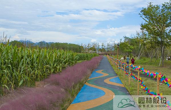 电竞比赛押注app