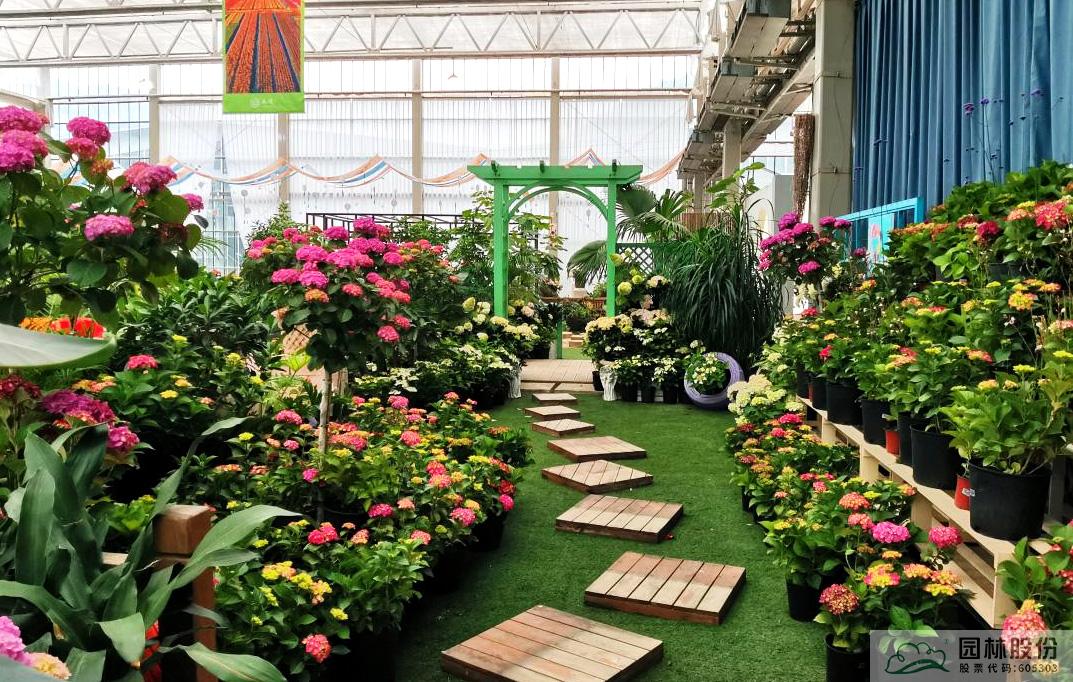 电竞比赛押注app