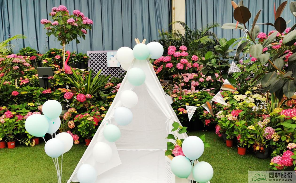 电竞比赛押注app