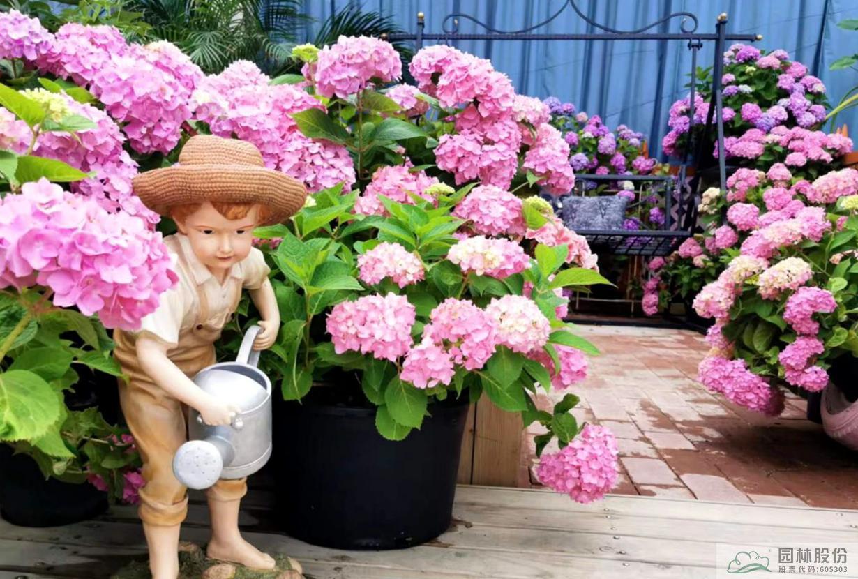 电竞比赛押注app