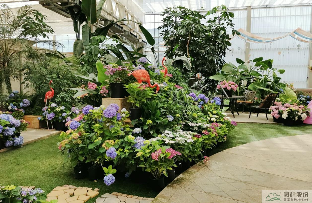 电竞比赛押注app