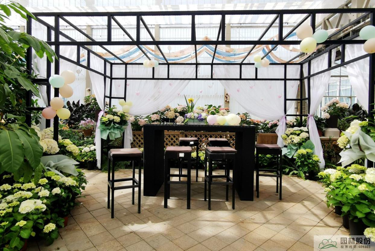 电竞比赛押注app