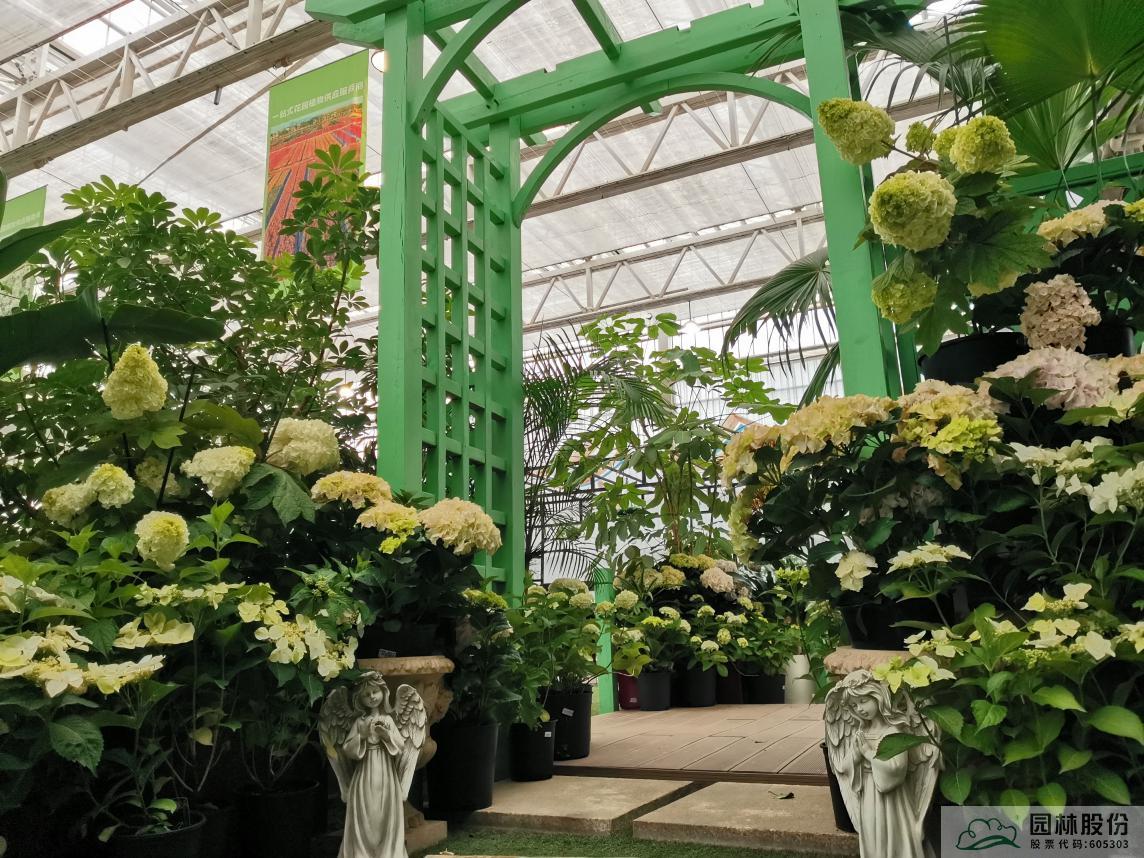 电竞比赛押注app