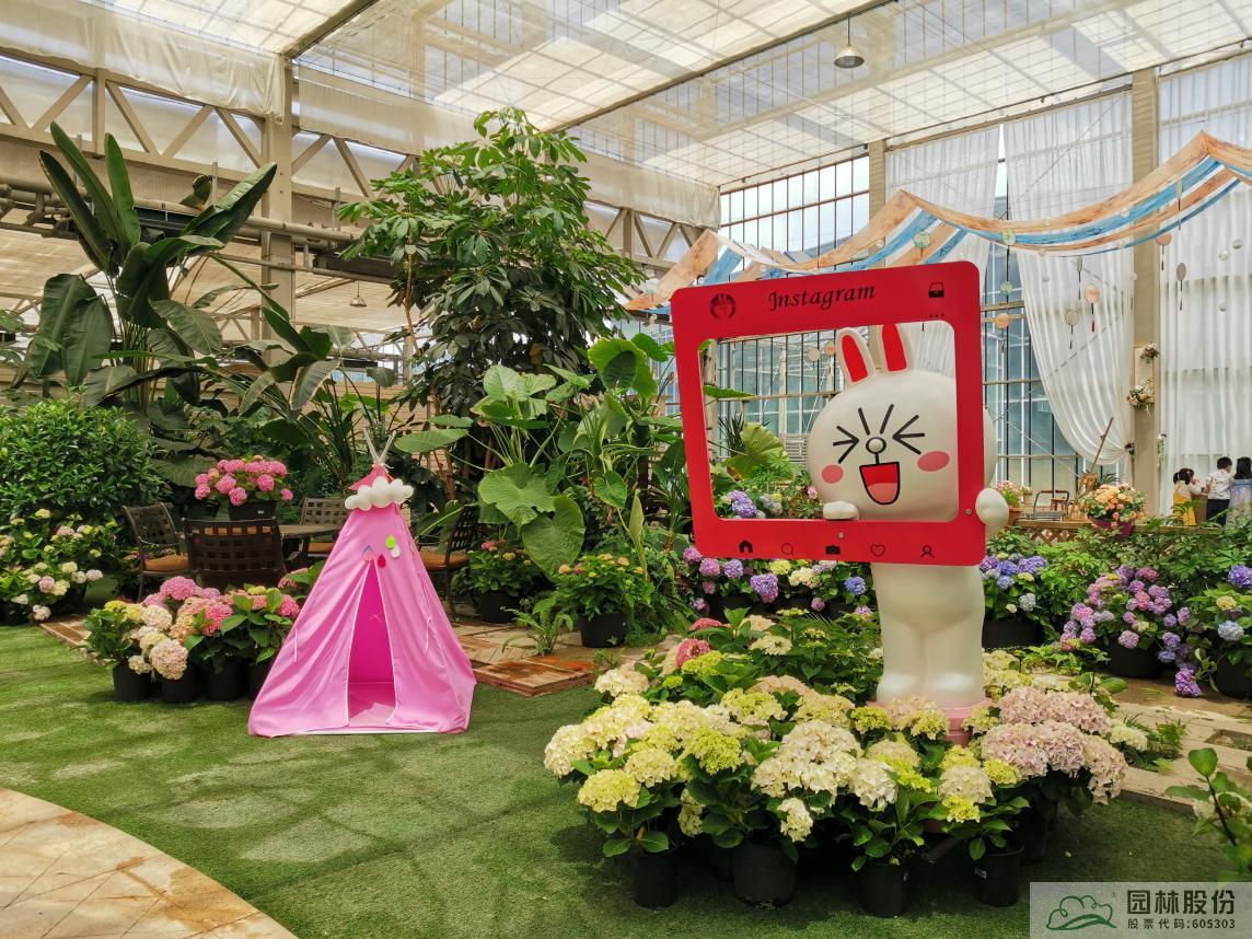 电竞比赛押注app