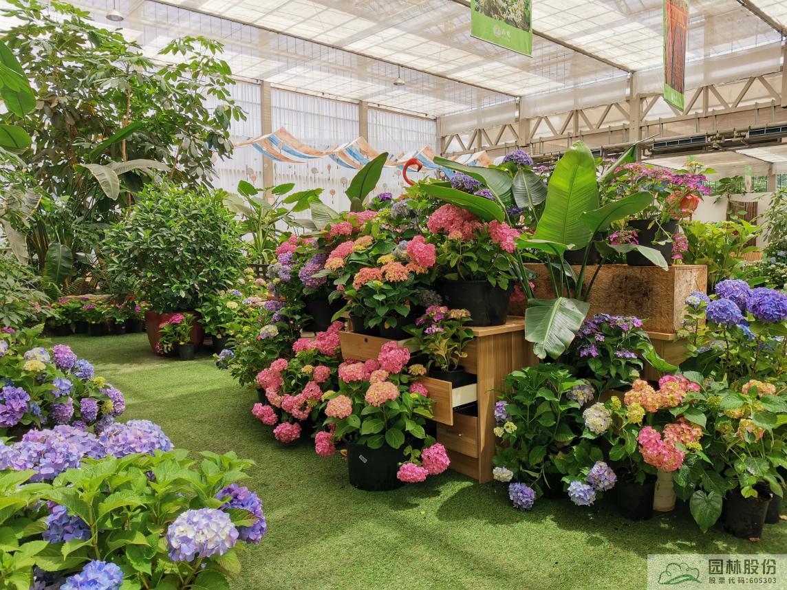 电竞比赛押注app