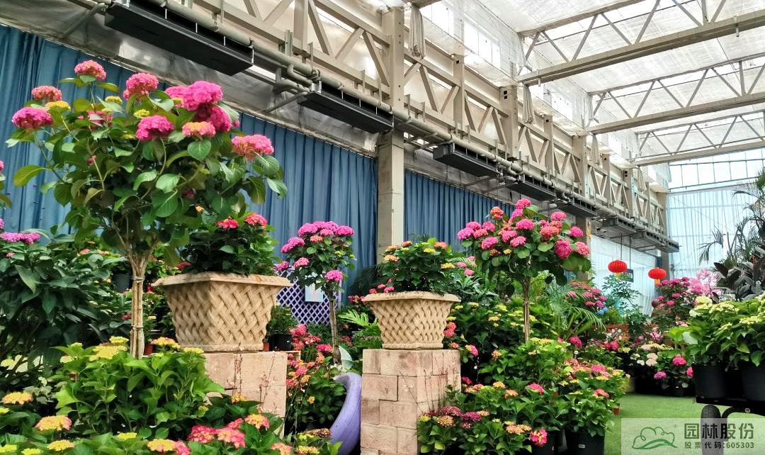 电竞比赛押注app