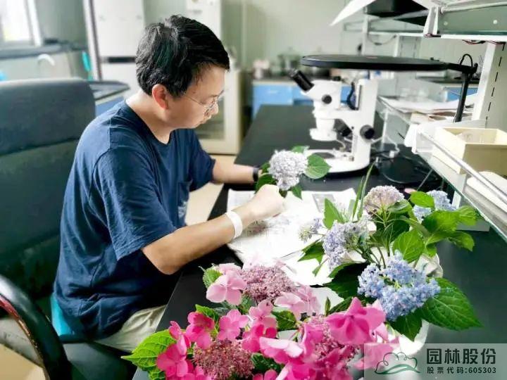 电竞比赛押注app