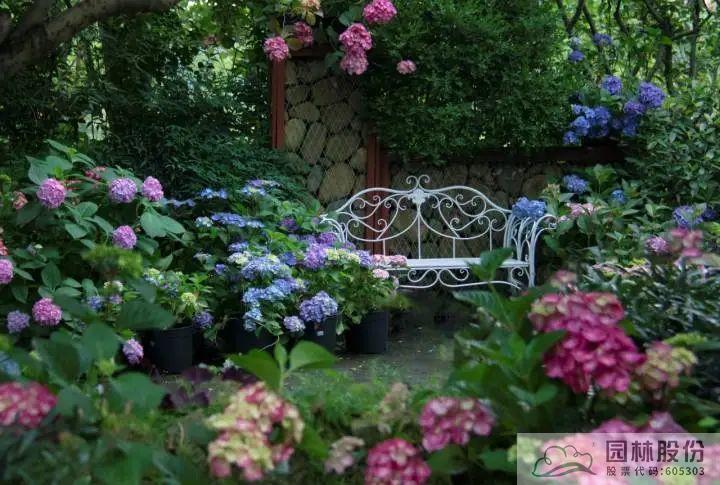 电竞比赛押注app