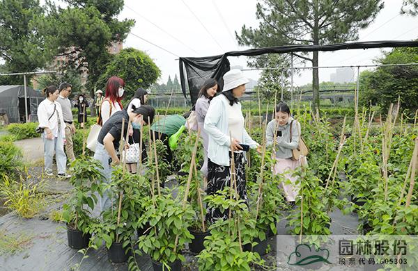 电竞比赛押注app