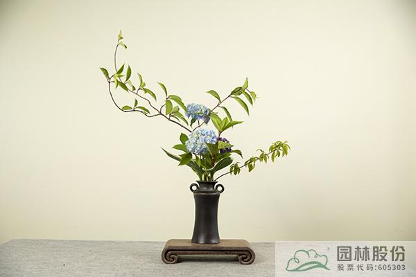 电竞比赛押注app