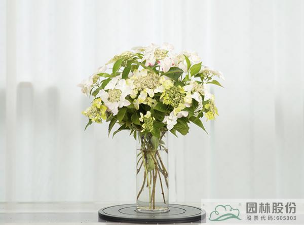 电竞比赛押注app