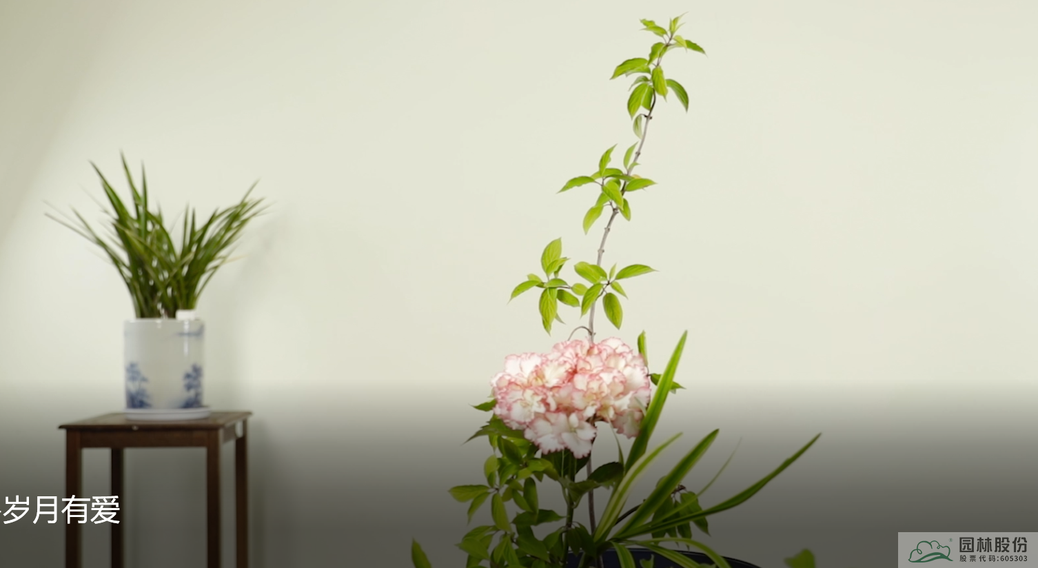 电竞比赛押注app