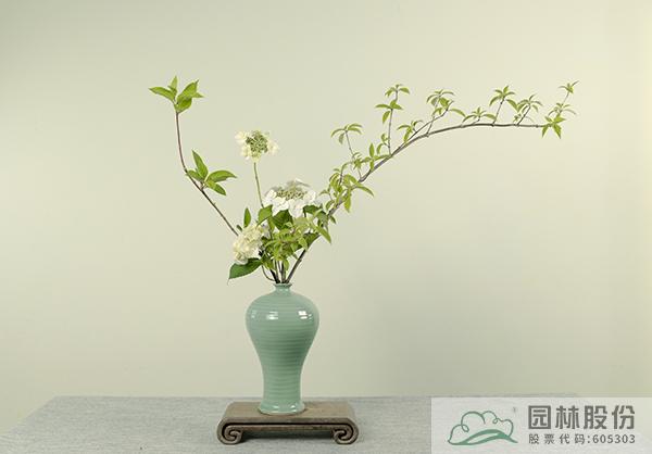 电竞比赛押注app