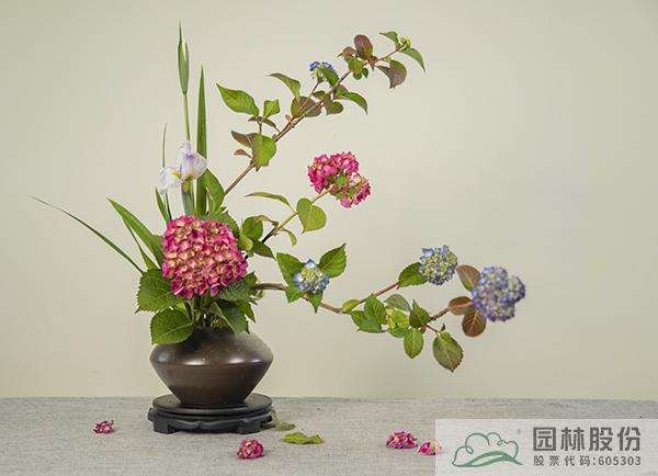 电竞比赛押注app