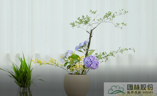 电竞比赛押注app