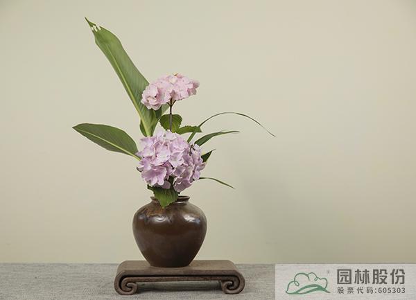 电竞比赛押注app