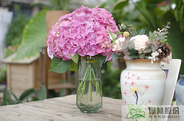 电竞比赛押注app