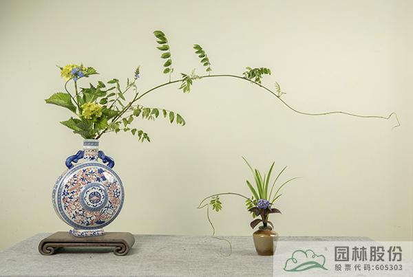 电竞比赛押注app