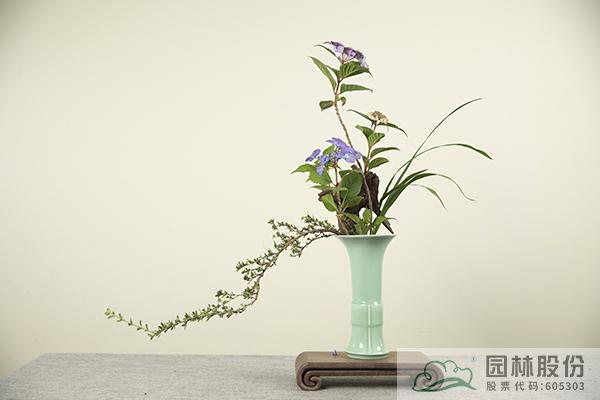 电竞比赛押注app