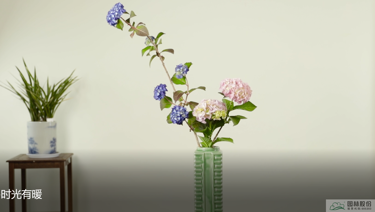 电竞比赛押注app