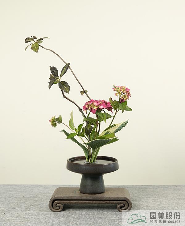 电竞比赛押注app