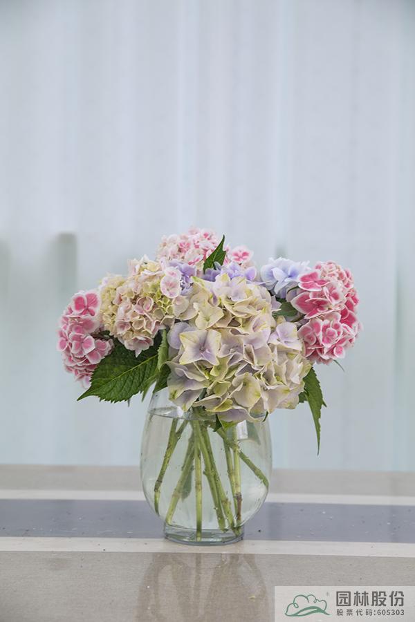 电竞比赛押注app