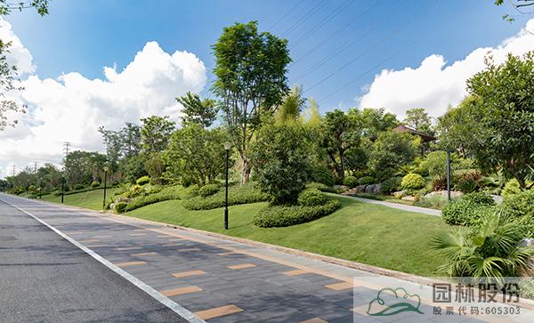 电竞比赛押注app