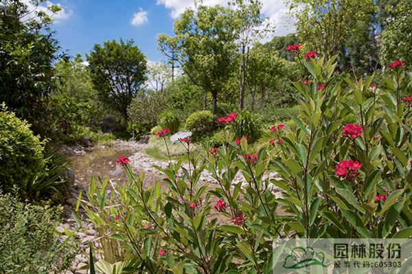 电竞比赛押注app