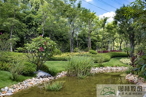 电竞比赛押注app