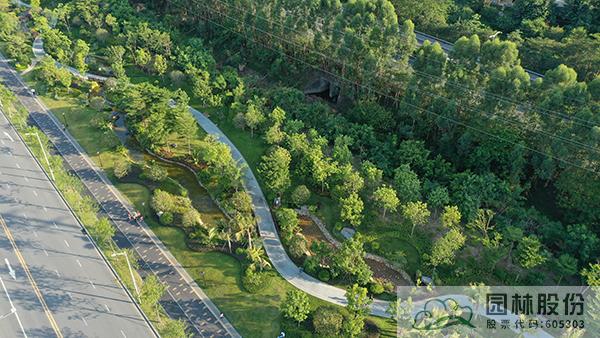 电竞比赛押注app