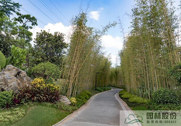 电竞比赛押注app