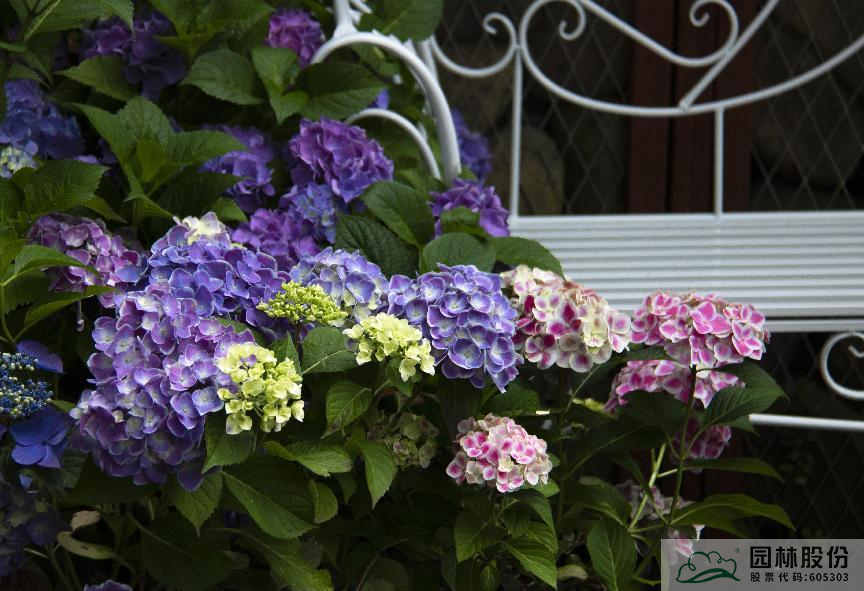 电竞比赛押注app