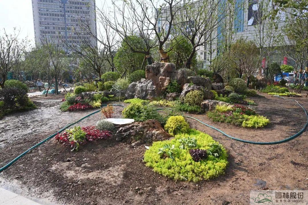 电竞比赛押注app