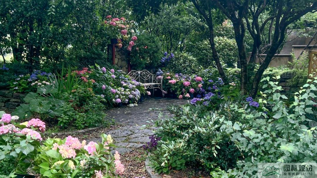 电竞比赛押注app