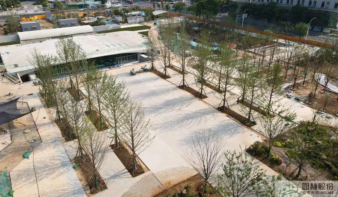 电竞比赛押注app