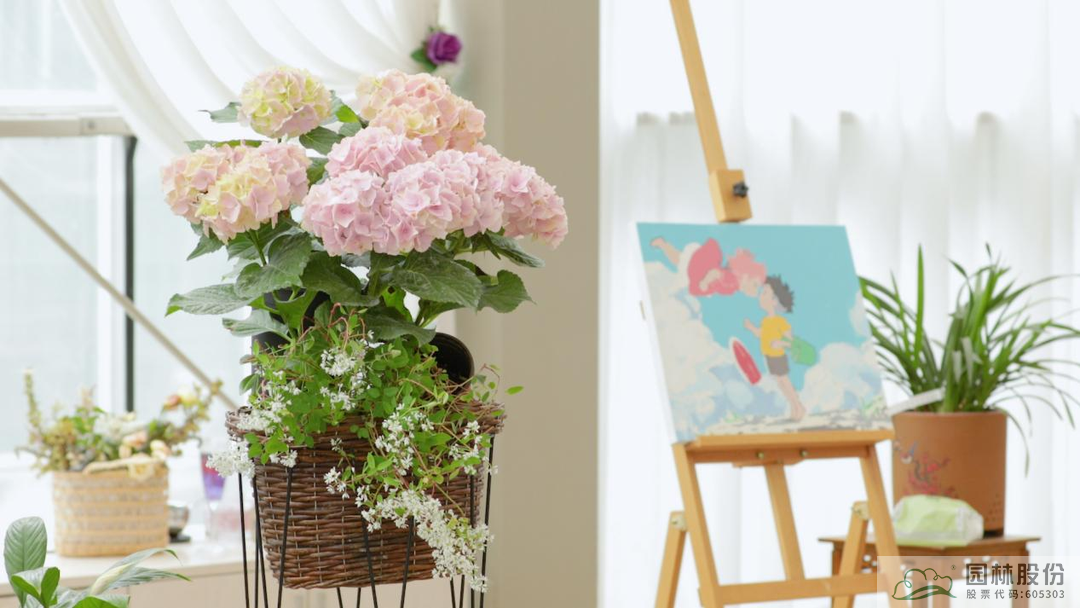 电竞比赛押注app