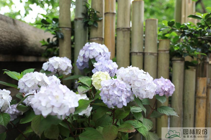 电竞比赛押注app