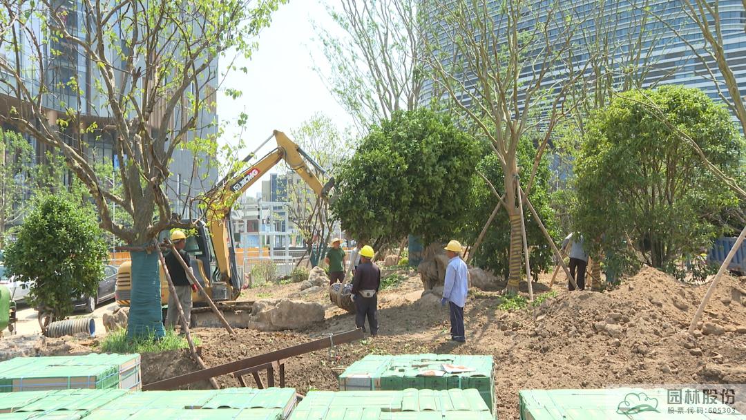 电竞比赛押注app